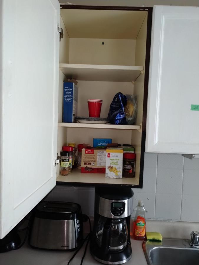 Cozy Downtown Two Bedrooms Free Parking Kingston Luaran gambar