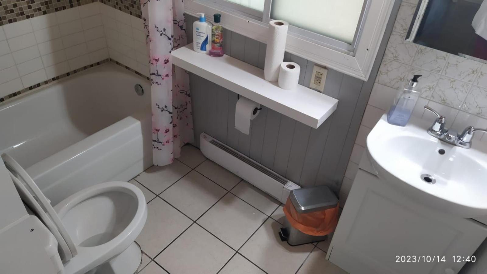 Cozy Downtown Two Bedrooms Free Parking Kingston Luaran gambar